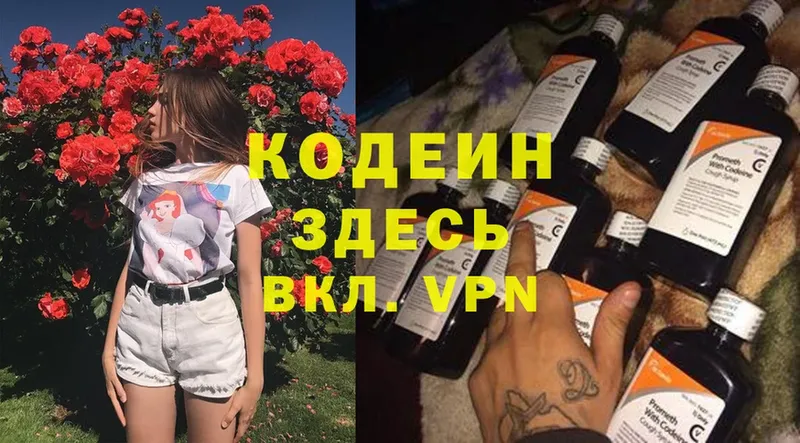 где купить наркоту  МЕГА ссылки  Codein Purple Drank  Никольск 